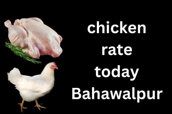 chicken rate today in Bahawalpur