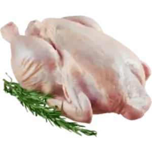 Broiler Chicken Meat